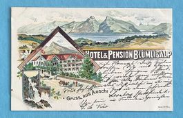 Aeschi - Hotel und  Pension Blümlisalp - Litho - 1898