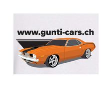 Profile image of gunti-cars