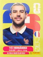 Panini FIFA World Cup FRA 3