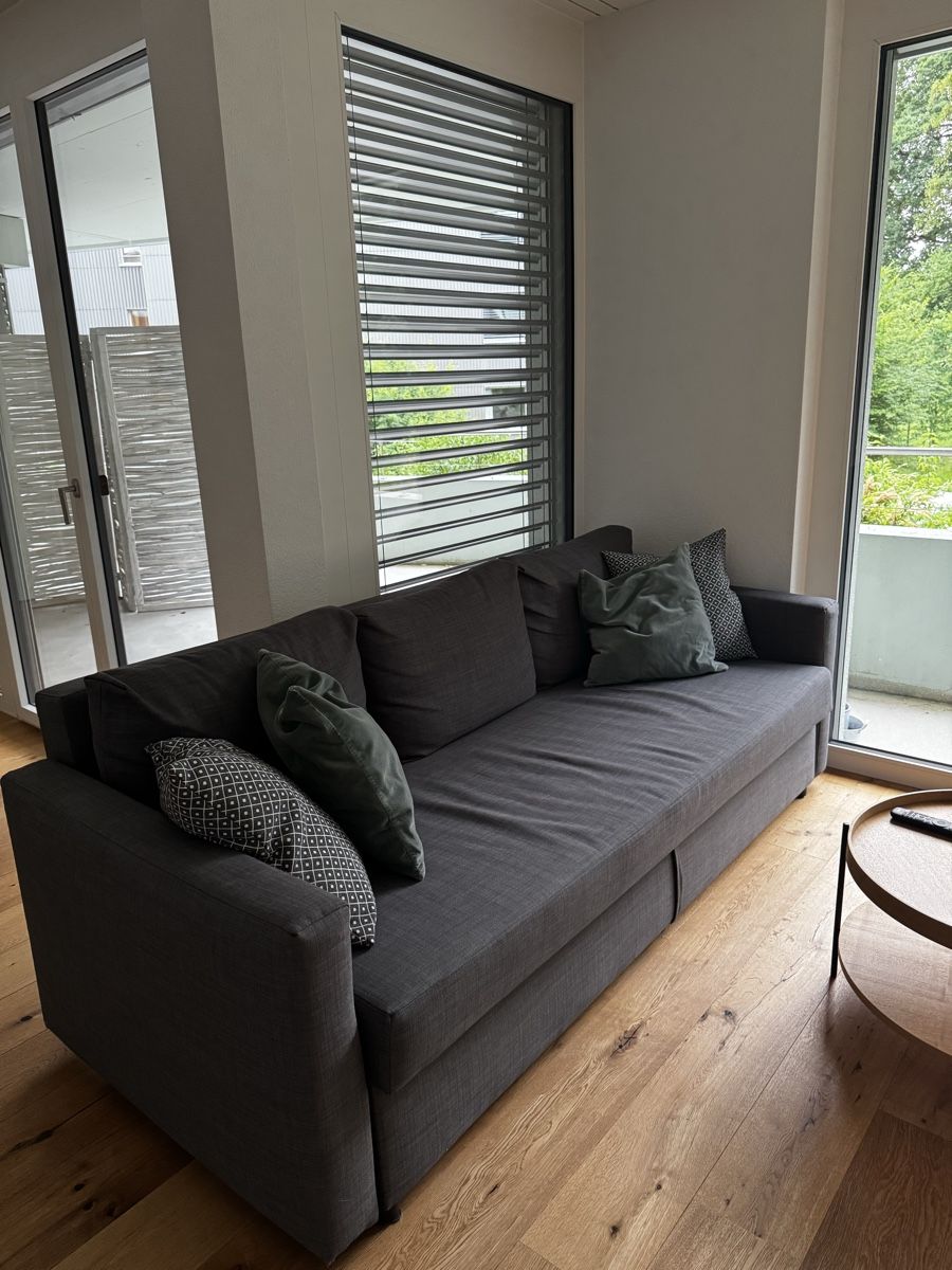 Ikea Divani: Schlafsofa Friheten Ikea Sofa – Usato da Hagendorn venduto da cla_dhb9 1