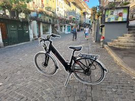 Trilogie Elektro Fahrrad 25km/h Lieferung gratis
