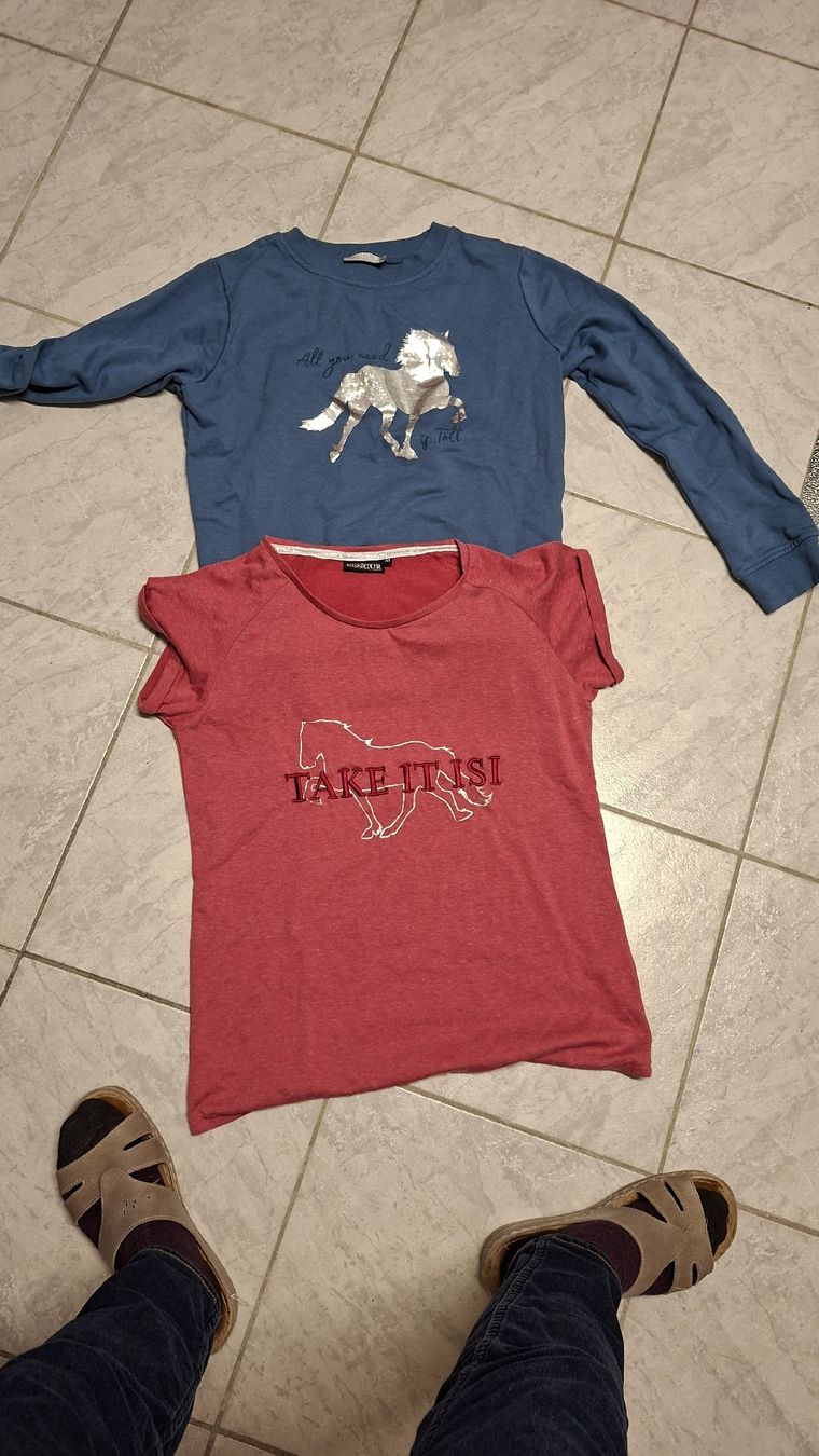 Pulls & Sweat-shirts: Shirt und Pullover – D'occasion à Rupperswil par lie_qlt7