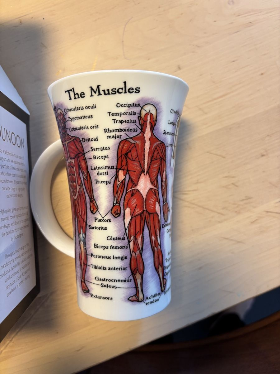Tazze: Neue Dunoon Anatomie Tasse "Human Skeleton" – Nuovo e nell'imballaggio originale da Zürich venduto da Smesskammer