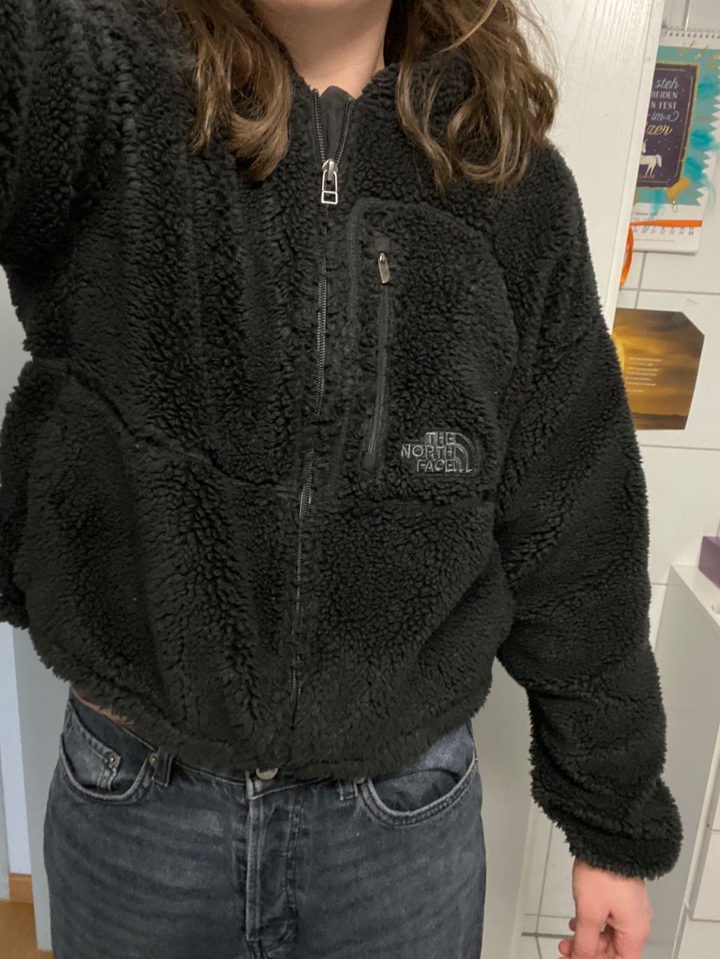 North Face Giacche: The North Face Fleece Jacket – Usato da Eschlikon TG venduto da mur_byr9 3