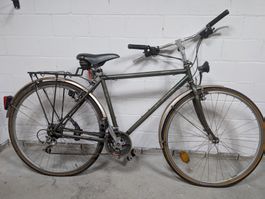 ⚡ Alpina City | Vintage Velo / MAVIC / Bastler / Projekt 🚲