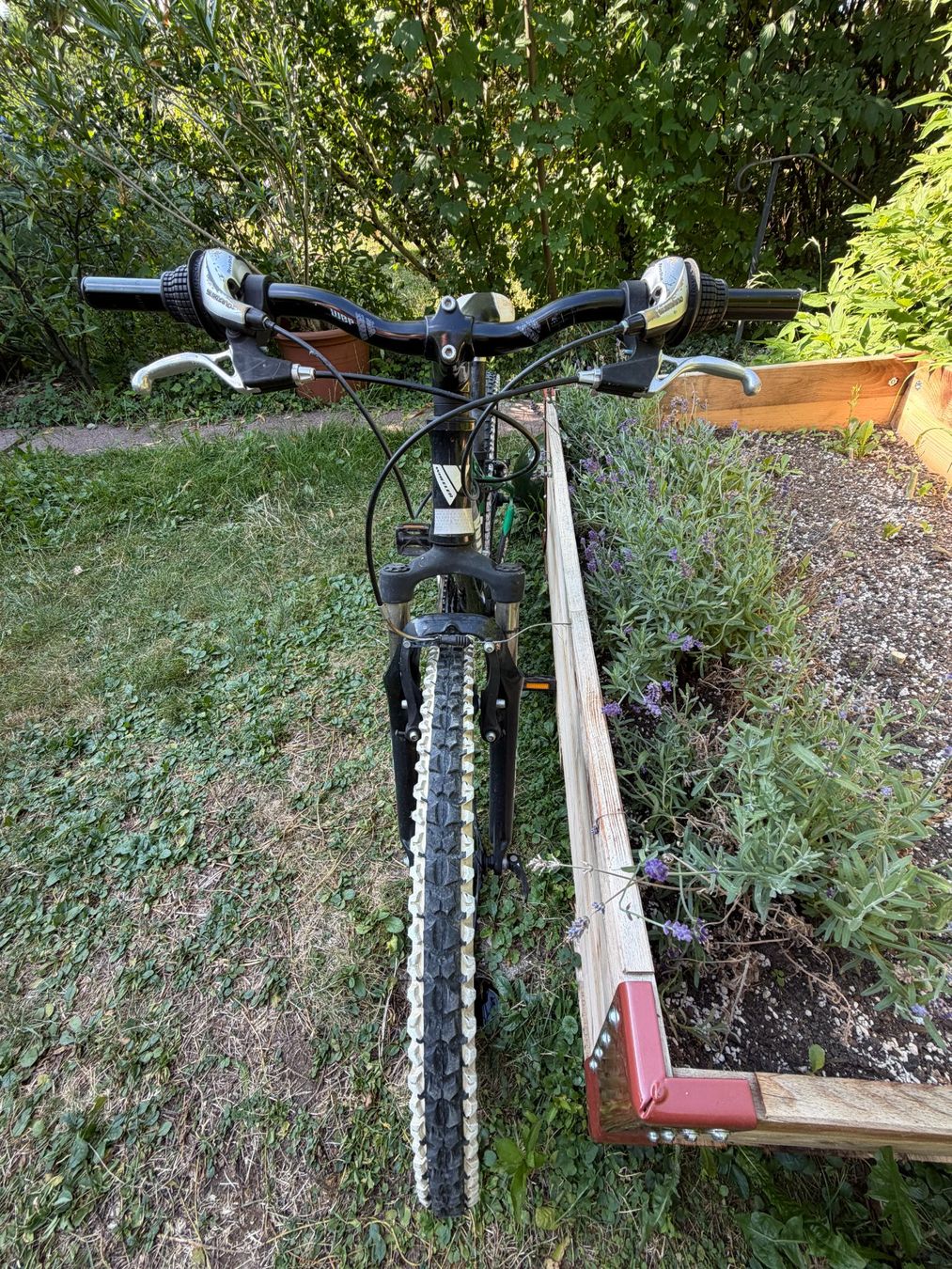 Wheeler Vélos: WHEELER XT 24 JUNIOR BICYCLE – D'occasion à Küsnacht ZH par joh_5qrt 6