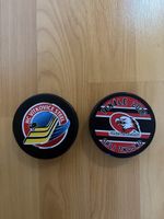 Pucks hockey Tchéquie