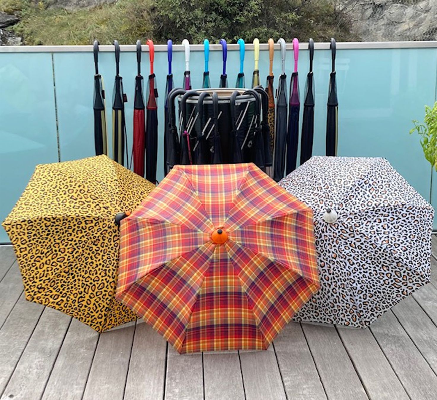 Ombrelli: Lot de 20 parapluies PLIC – Nuovo (secondo la descrizione) da Sion venduto da pie_2zs9