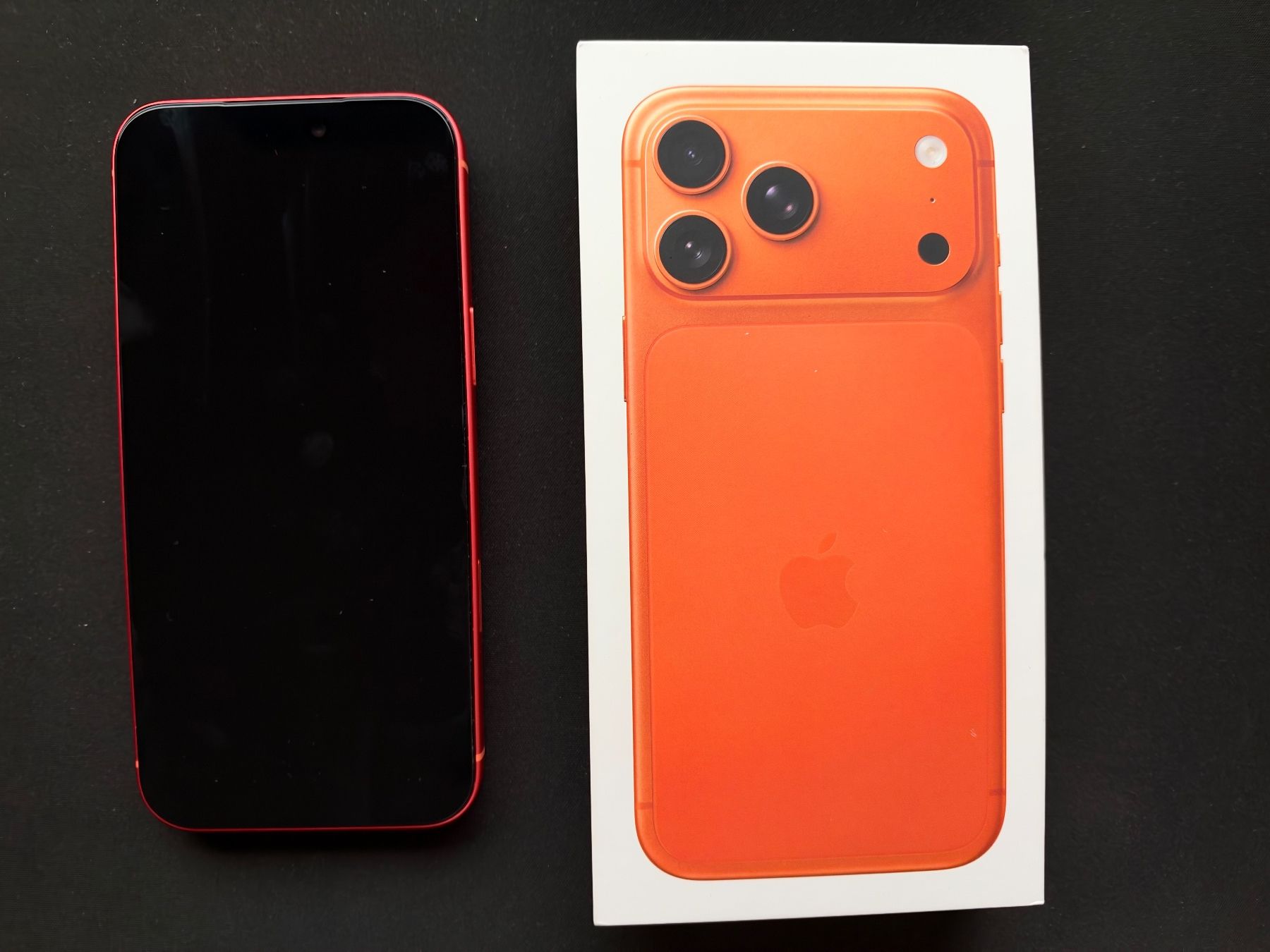 Apple Telefoni cellulari / Smartphones: Apple iPhone 17 Pro Max – Usato da Wohlen AG venduto da PlausibeI