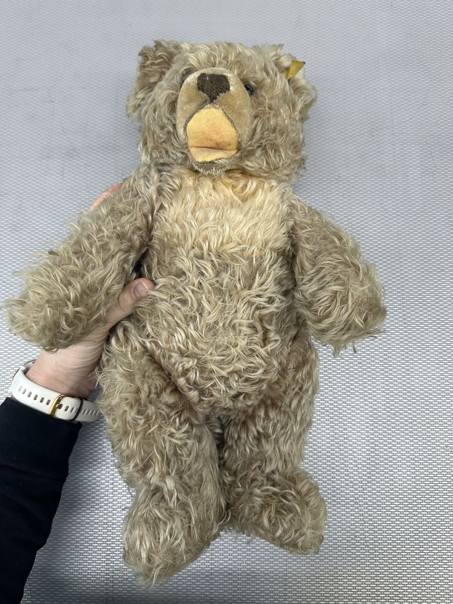 Steiff Giocattoli: Steiff Teddybär, Original – Usato da Montlingen venduto da Kingpisch 3
