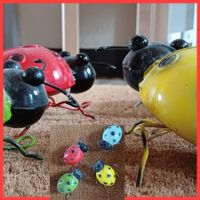 coccinelles* célèbre làmour *Prüfungskäferli tolles Geschenk
