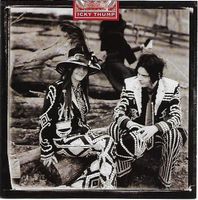 CD White Stripes - Icky Thump (2007)