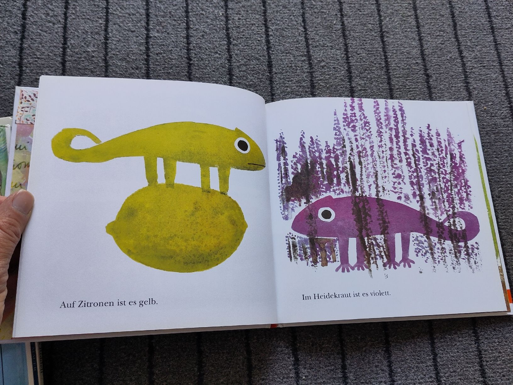 Libri: Leo Lionni, Bilderbuch, Seine eigene Farbe – Usato da Dettighofen Lengw. venduto da mai_75wt 2