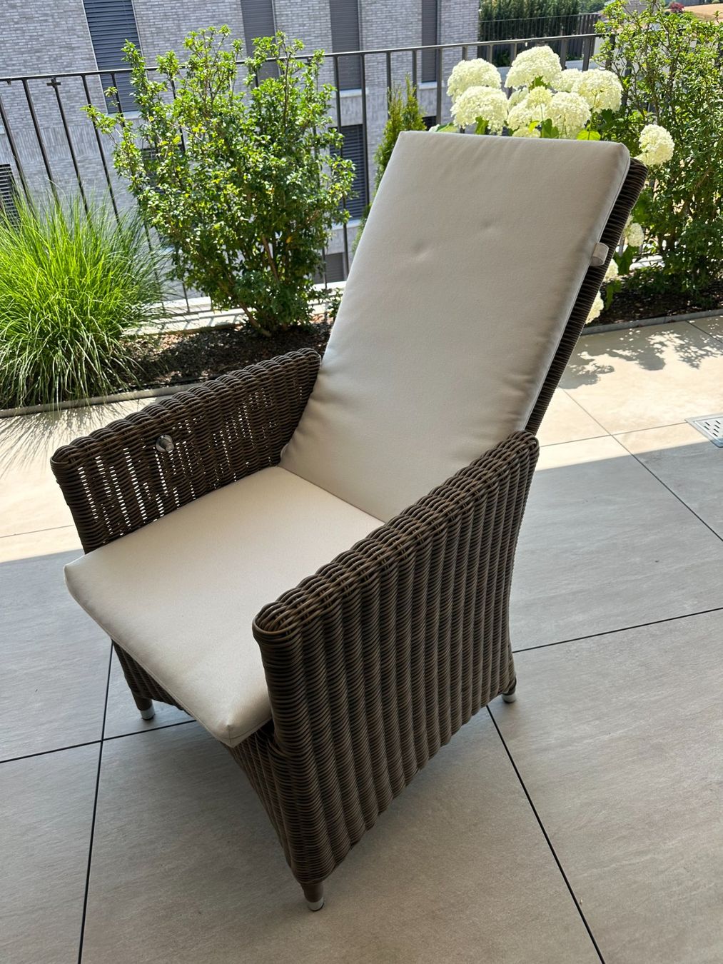 Hunn Sedie: Rattan Stühle Set mit Kissen – Usato da würenlos venduto da first_edition 4