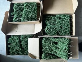 Etwa 80 Bäume ca. 8cm hoch NEU ab 39.-