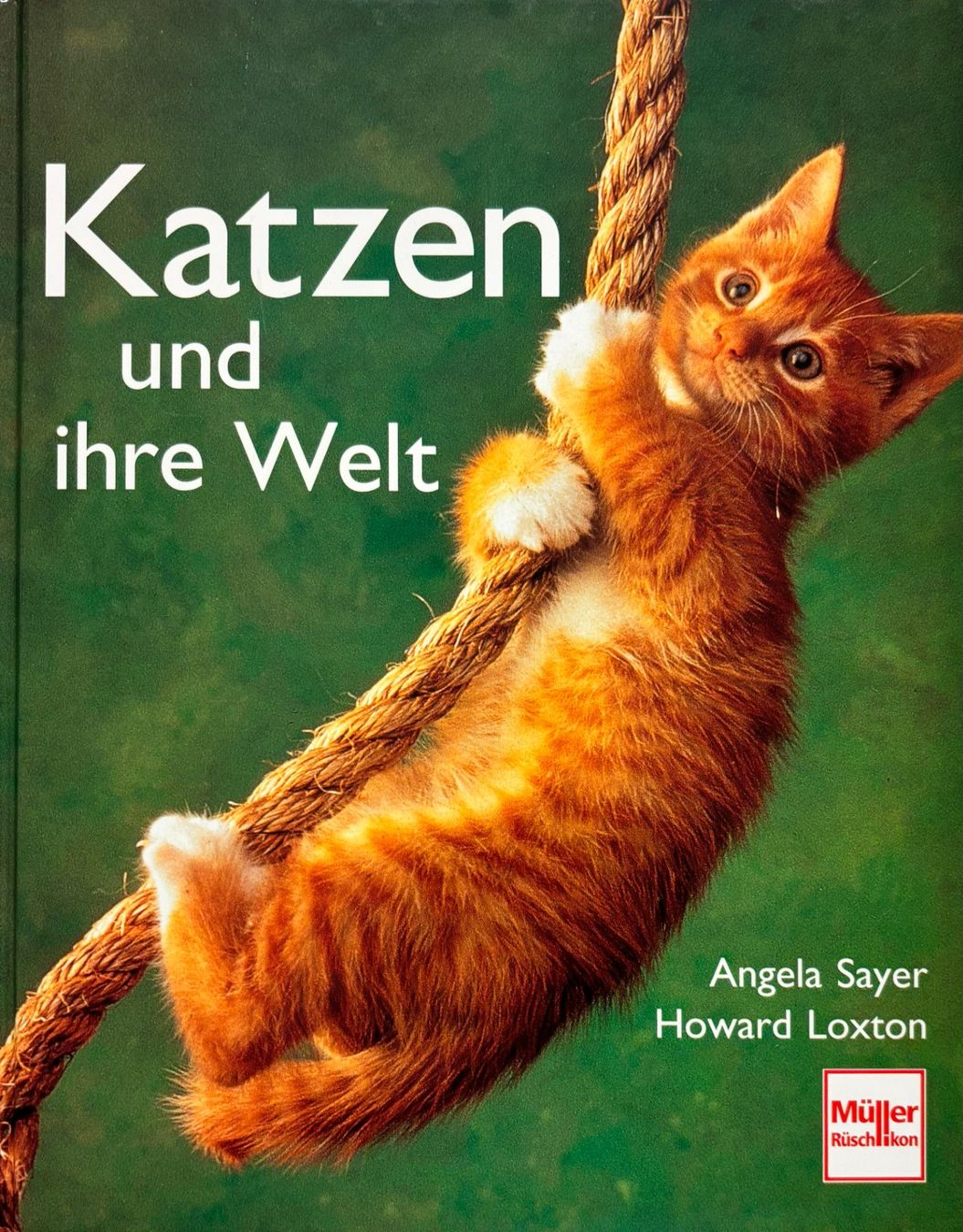Libri: Katzen und ihre Welt – Nuovo e nell'imballaggio originale da Sarnen venduto da Livres