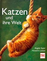 Katzen und ihre Welt