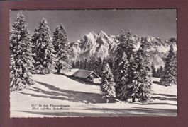 FLUMSERBERGEN - Sichelkamm