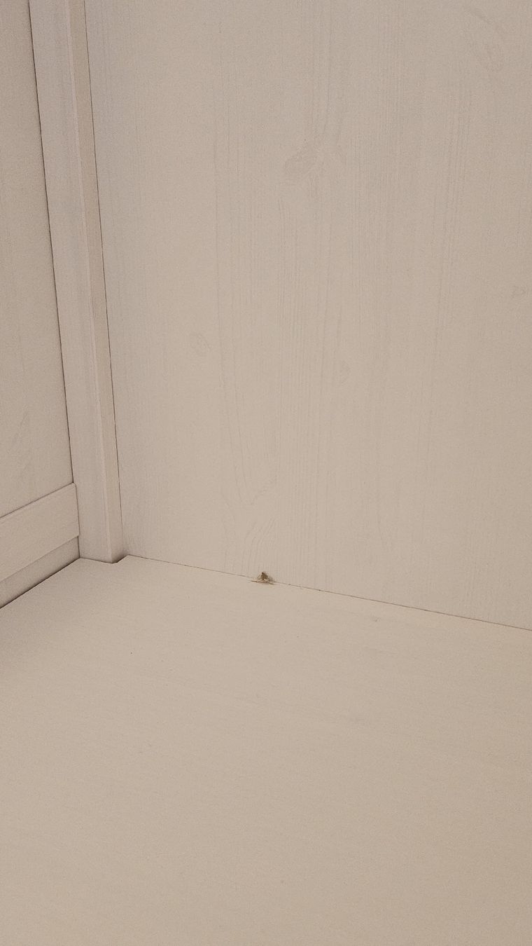 Ikea Armadi: Kinder Kleiderschrank Ikea – Usato da Murten venduto da RYO_RYO 4