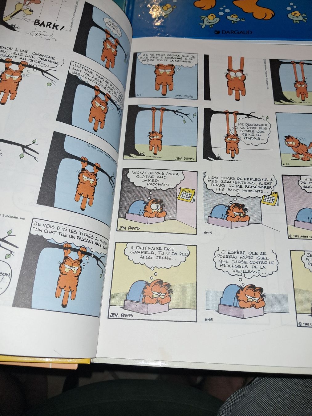 BD: Collection de 8 bd Garfield – D'occasion à Le locle par juliensaran 3