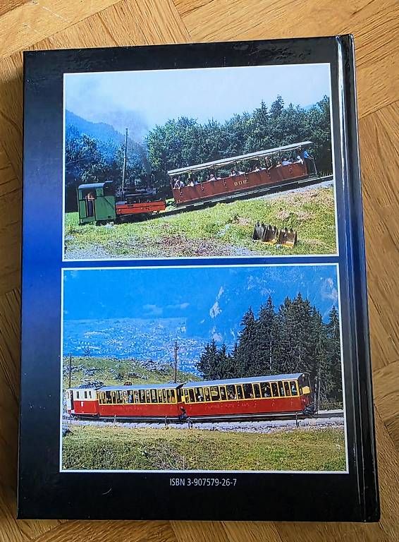 Libri: SCHYNIGE PLATTE-BAHN – Usato da Visp venduto da Glaci2212 1