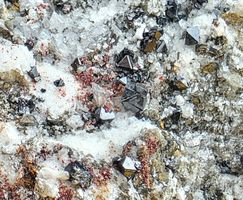 Mineralien Set 5 teilig jeder xx eine Spezialität, Schönheit