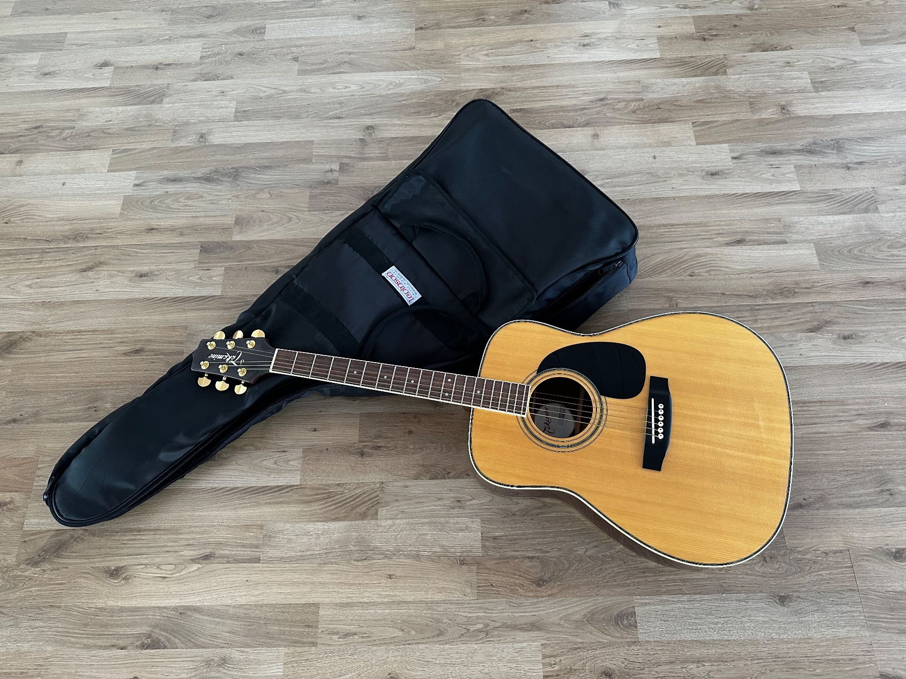 Takamine Strumenti musicali: Western Gitarre mit Tasche TAKAMINE – Usato da Urdorf venduto da nochmalbrauchen