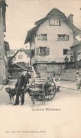 Luzerner Milchmann et son attelage de chiens anime