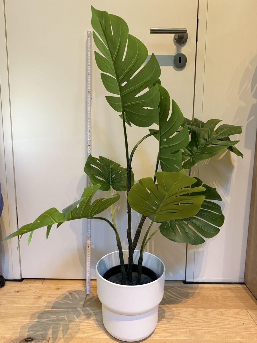 Ikea Tutte le decorazioni: Monstera Kunstpflanze mit Topf – Usato da Wangen b. Olten venduto da danyffeler