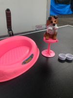 Barbie Hund und Körbchen