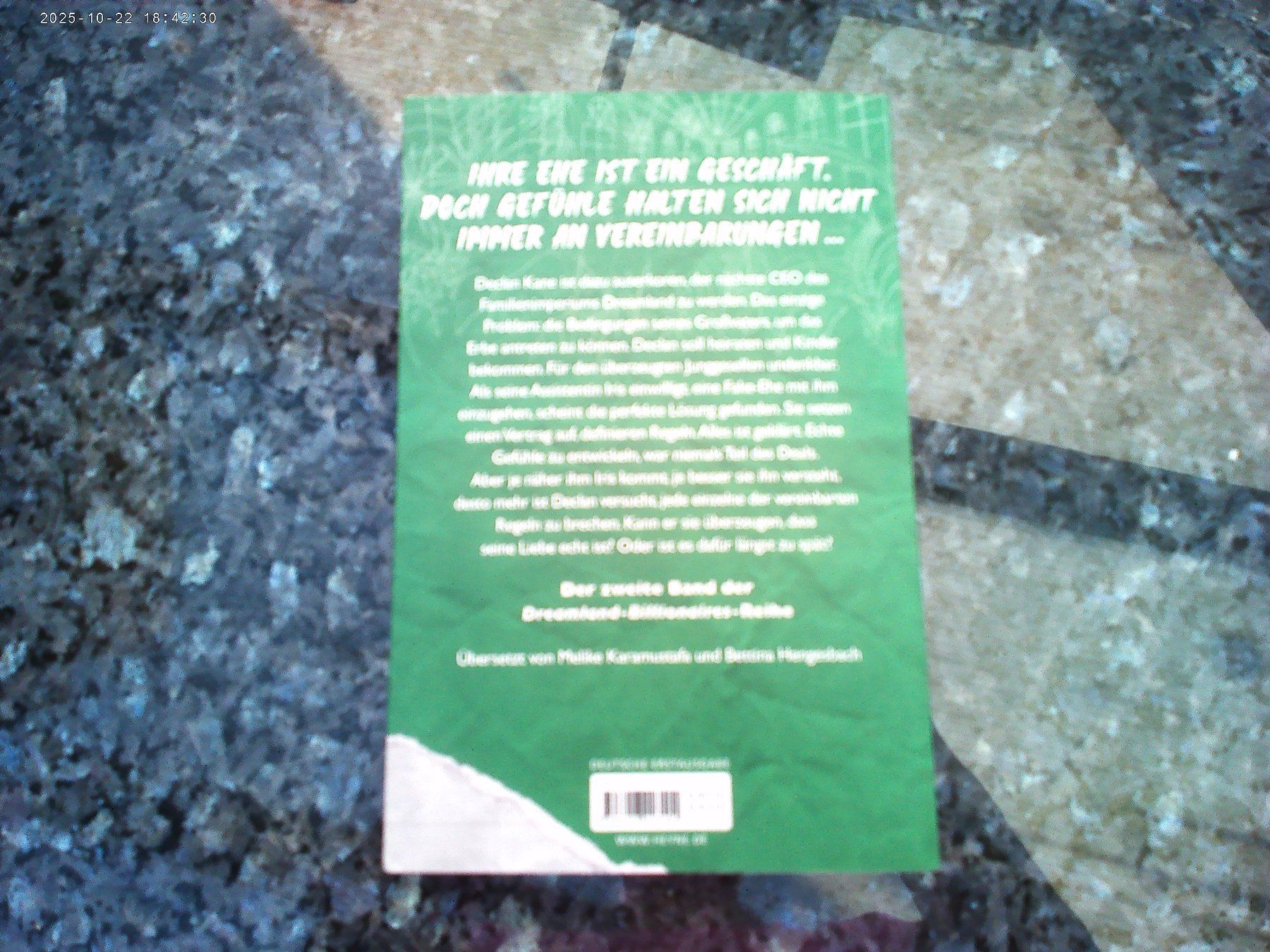 Bücher: Dreamland Billionaires - Terms and Conditions – Gebraucht aus reitnau von Sib7 1