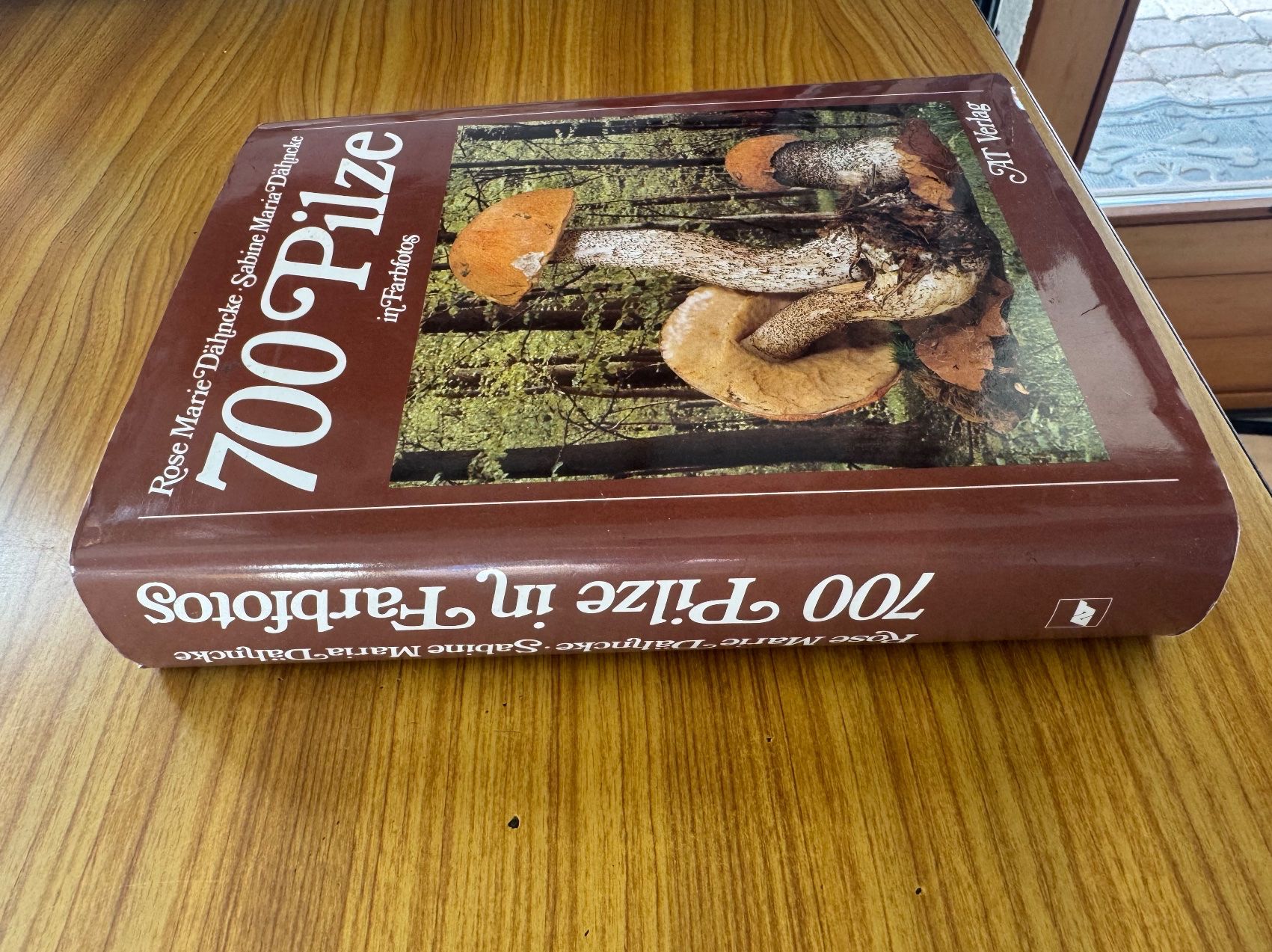 Libri: Buch Pilze Geschenk Dähncke – Usato da Steffisburg venduto da smocky17 2