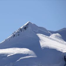 Profile image of swisstrade1