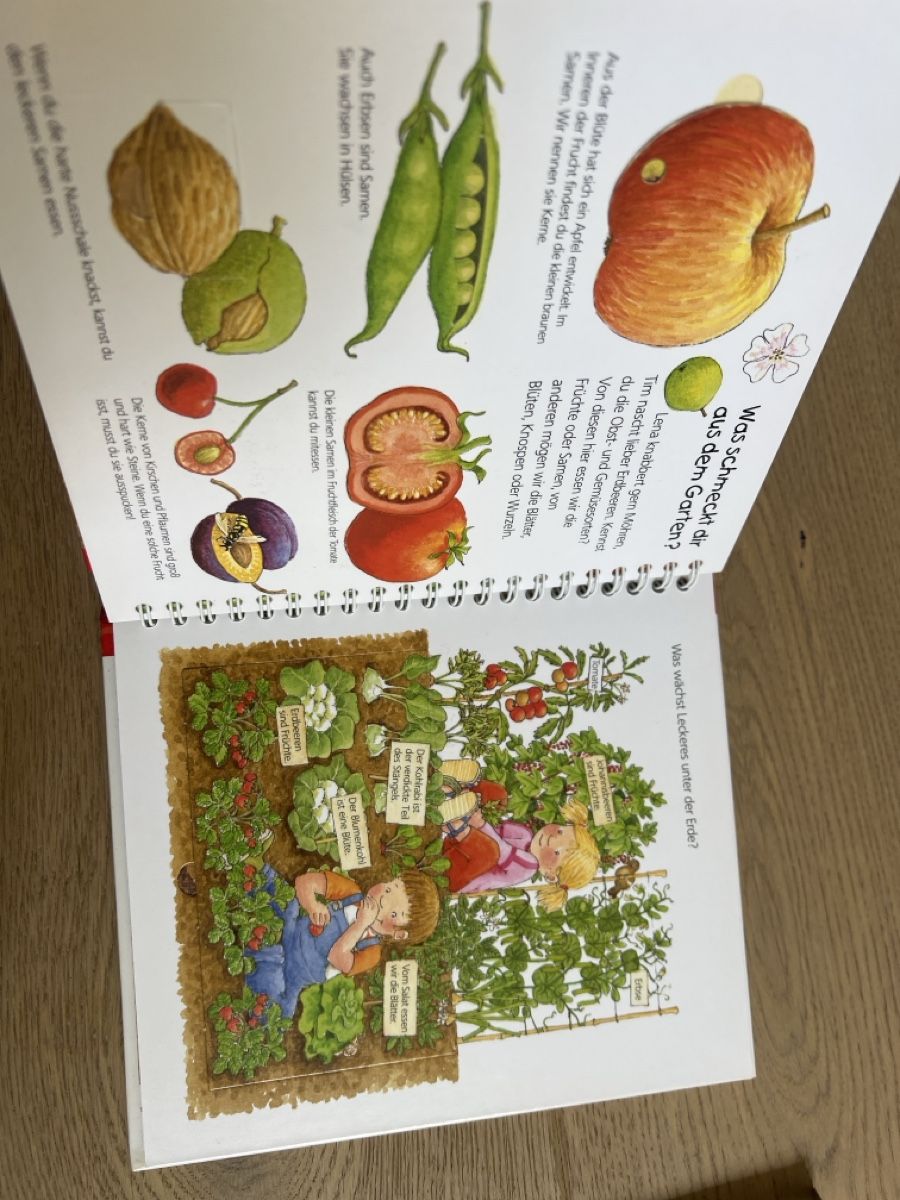 Libri: Ravensburger "Was wächst da?" Junior Kinder-Buch – Usato da Oensingen venduto da katepe 4