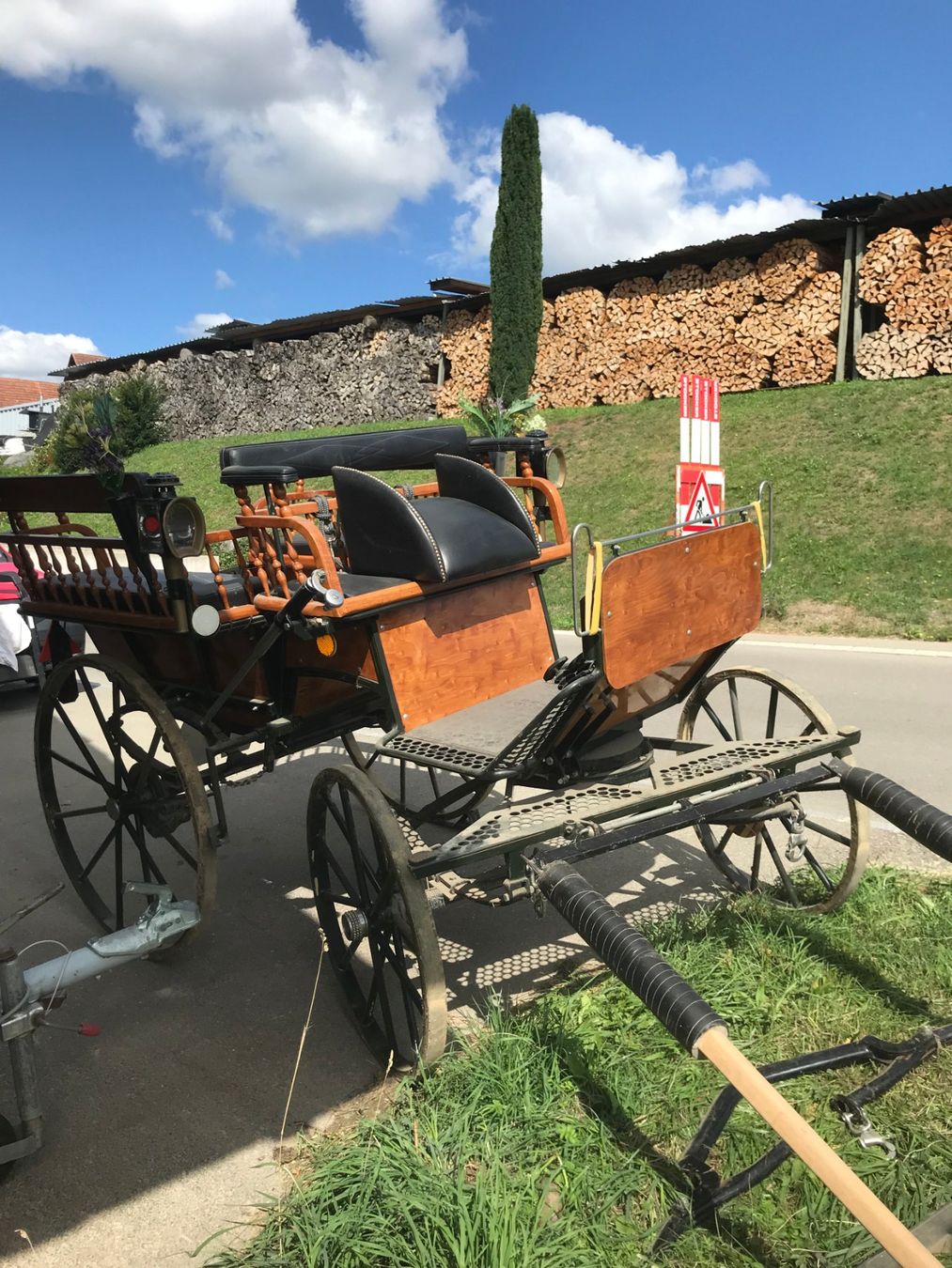 Carrozze: Pferdekutsche Wagonette – Usato da Niederhasli venduto da Fribi_bea 2