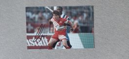 Autogramm  Stephane Chapuisat