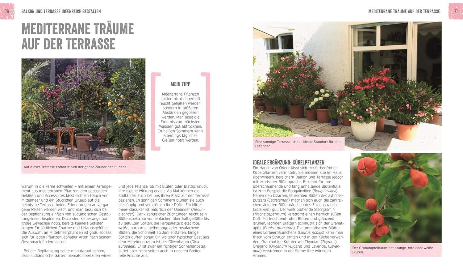 Bücher: Blühende Balkone & Terrassen – Gebraucht aus Neuchâtel von Dualseele 2