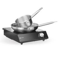 Induktionskocher I Induktionsplatte HENDI Set NEU