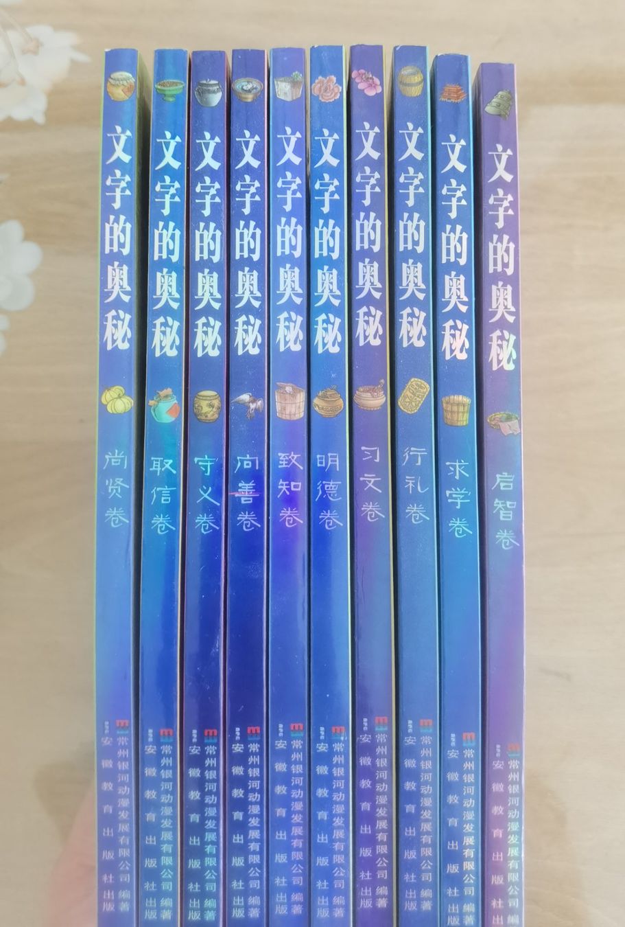 Bücher: Chinesische Bücher wenzi de aomi – Gebraucht aus Zug von Major1983 1
