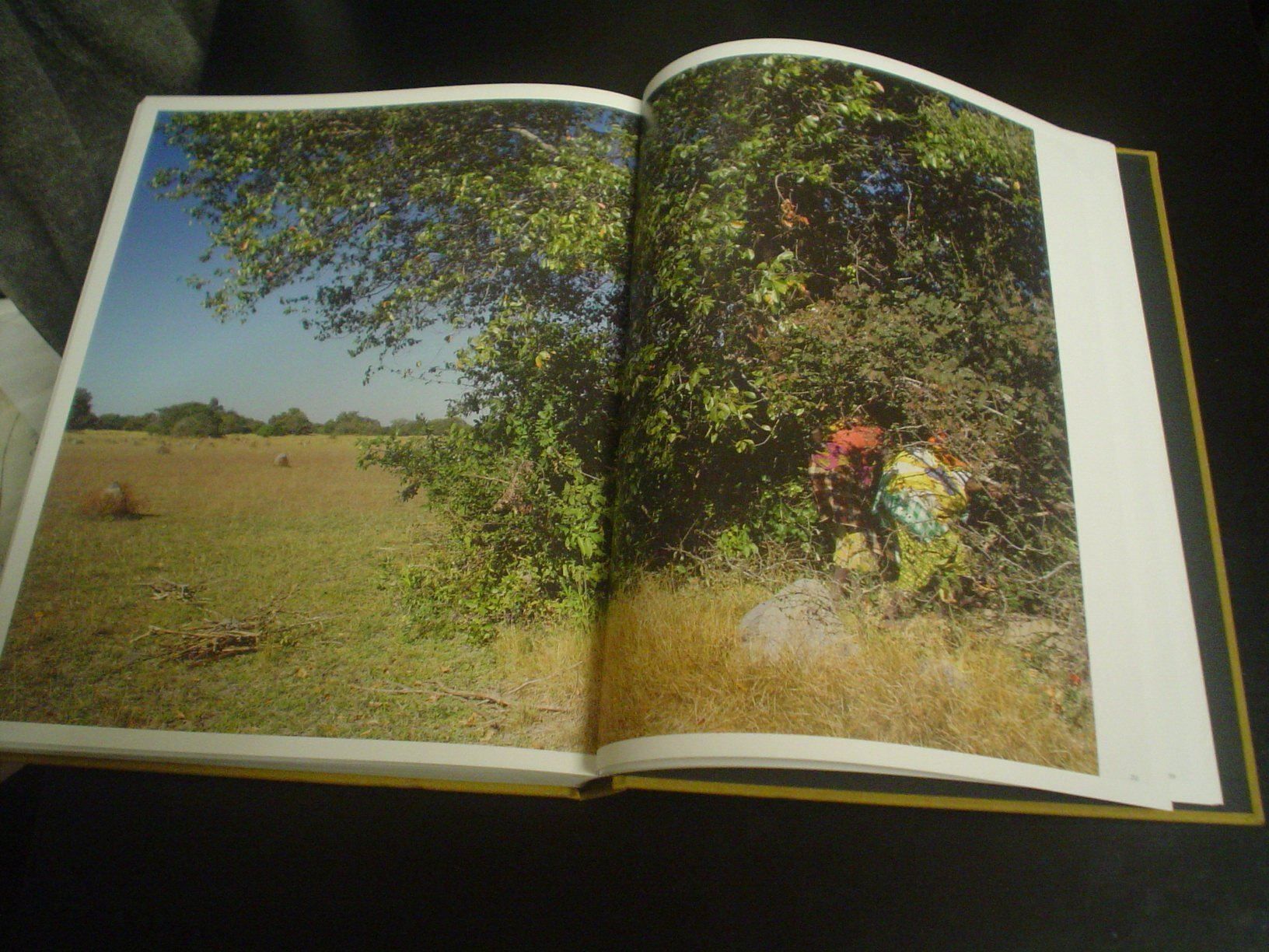 Livres: Congo River Fotobuch Kris Pannecoucke – D'occasion à Welschenrohr par Regool 3