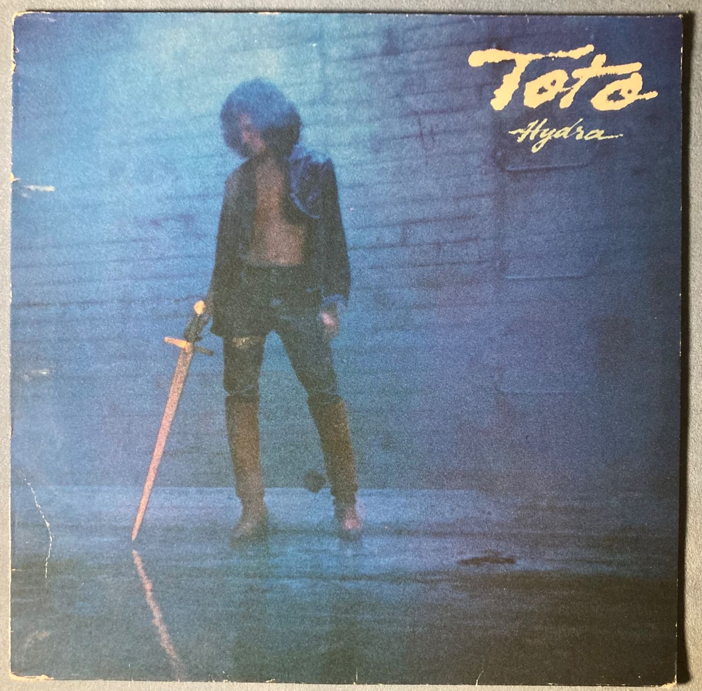 Dischi in vinile: TOTO - HYDRA – Usato da Poliez-Pittet venduto da Newtown-Records