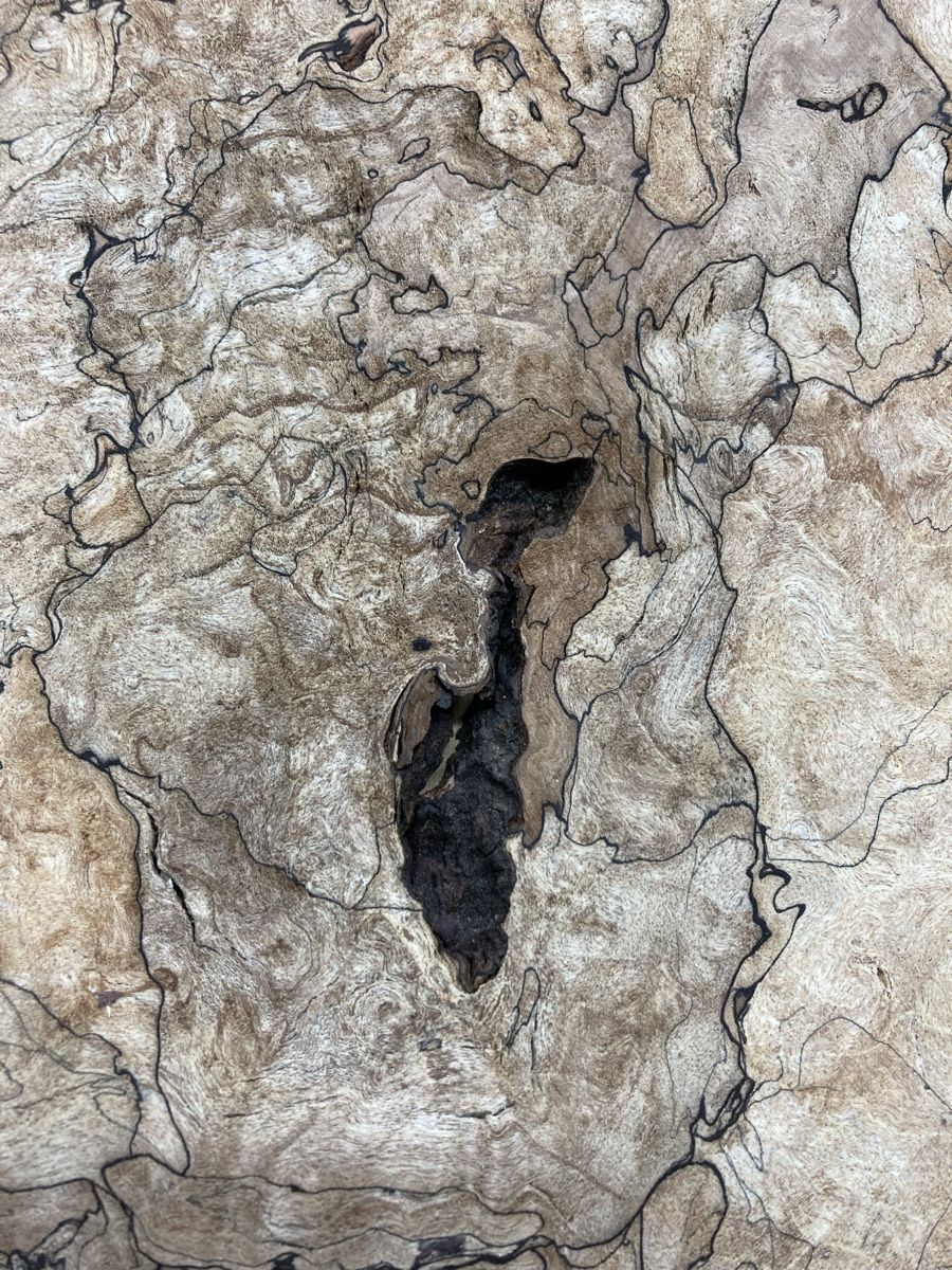 Strumenti musicali: Spalted maple amazing figured top – Nuovo (secondo la descrizione) da Minusio venduto da Bolix 2