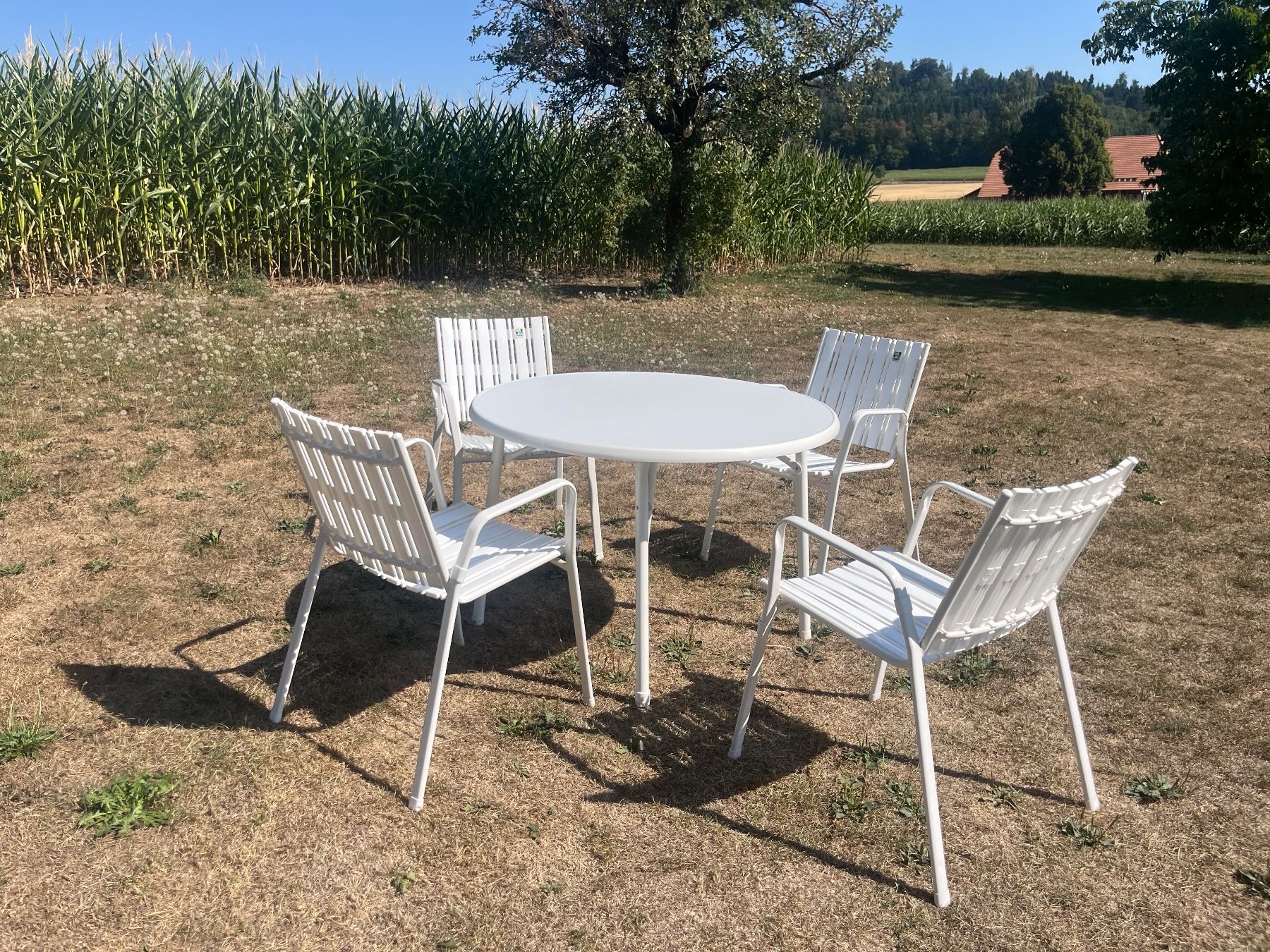 Tavoli: Gartentisch und 4 Stühle Stappelbar – Usato da Allmendingen b. BE venduto da juair 1