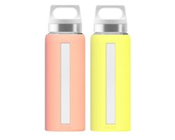 SIGG DREAM Glas Trinkflasche 6,5dl - Auswahl