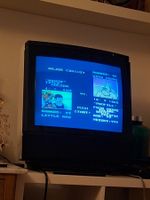 Fernseher Bang & Olufsen Beovision MX 4002 gebraucht