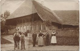 Landwirtschaft/Bauernfamilie 1906 Pferd BE?