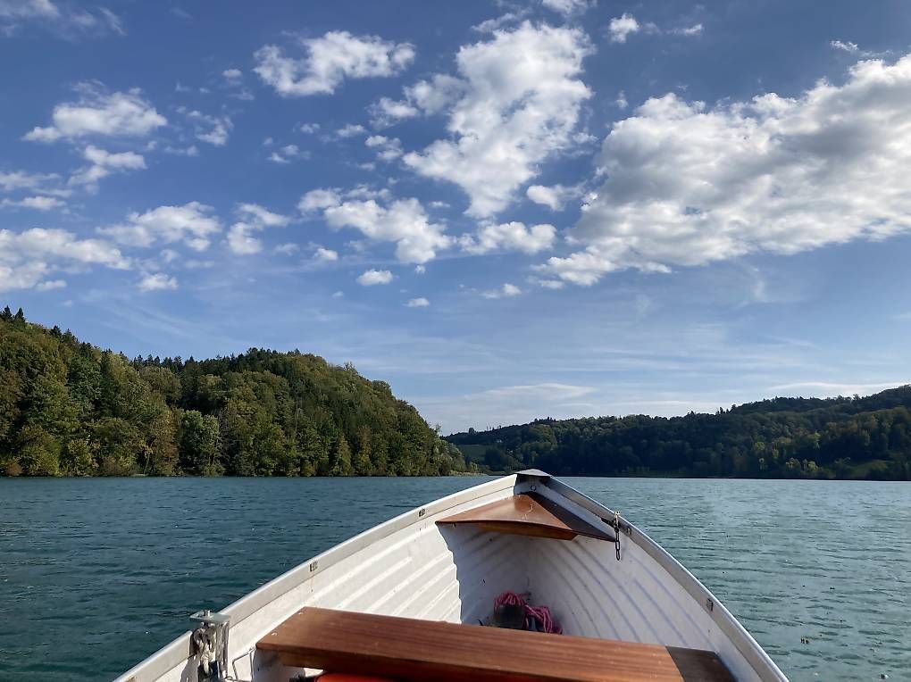 Mercury Boote: Fischerboot Müller MAG Spezial mit 8 PS Mercury – Gebraucht aus Lyss von Samillian 4