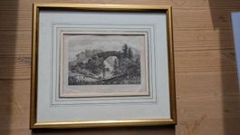 Stich Kander  (1)