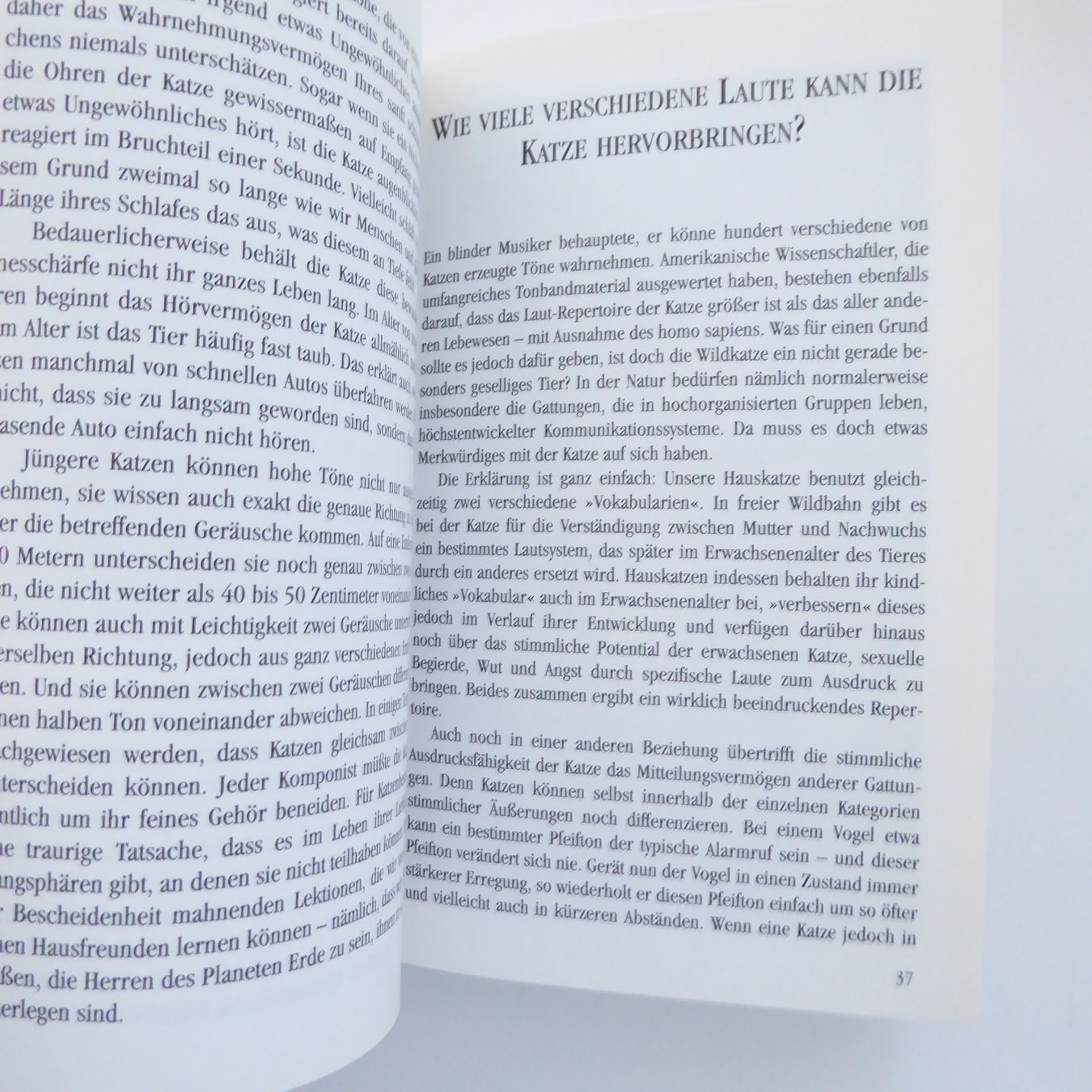 Bücher: Catwatching - Die Körpersprache der Katze – Gebraucht aus Basel von Kunterbunt12 5