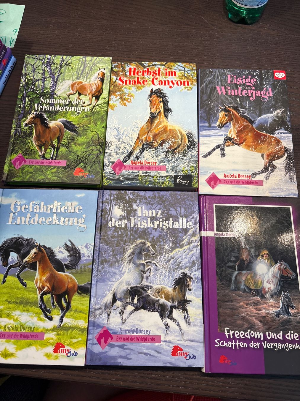 Livres: Diverse Pferdebücher – Neuf (Voir description) à Wald ZH par evelyne.street 6